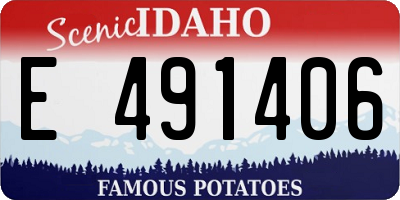 ID license plate E491406