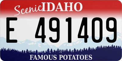 ID license plate E491409