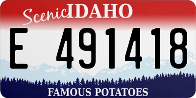 ID license plate E491418