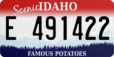 ID license plate E491422