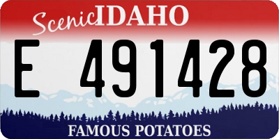 ID license plate E491428