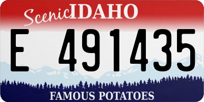 ID license plate E491435