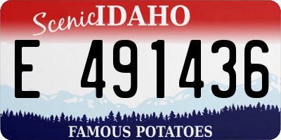 ID license plate E491436