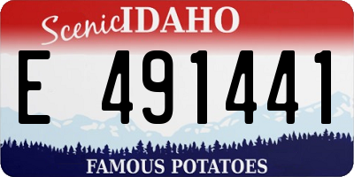ID license plate E491441