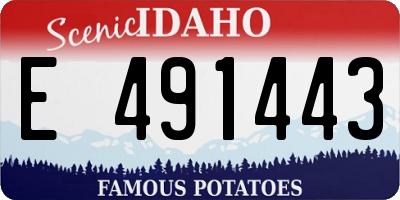 ID license plate E491443