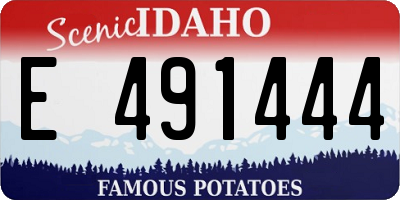 ID license plate E491444