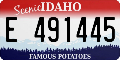 ID license plate E491445