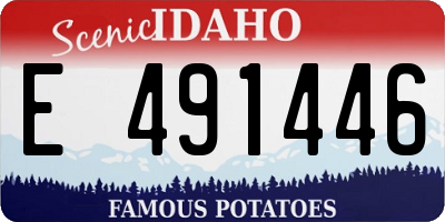 ID license plate E491446