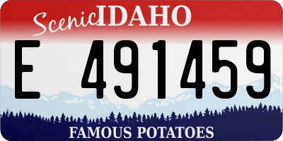 ID license plate E491459