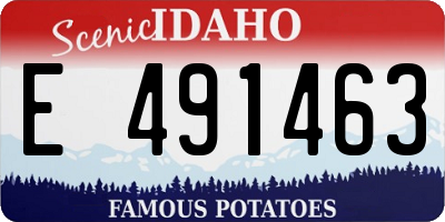 ID license plate E491463