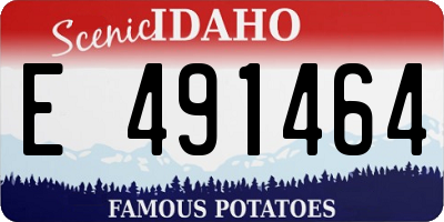ID license plate E491464