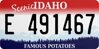 ID license plate E491467