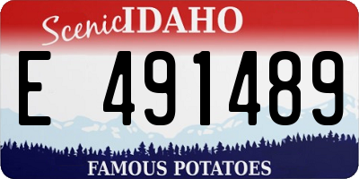 ID license plate E491489