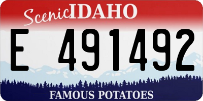 ID license plate E491492