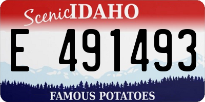ID license plate E491493