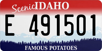 ID license plate E491501