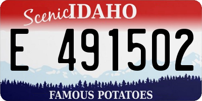 ID license plate E491502