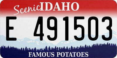 ID license plate E491503