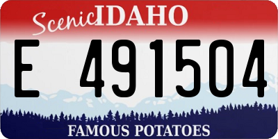 ID license plate E491504