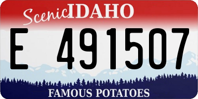 ID license plate E491507