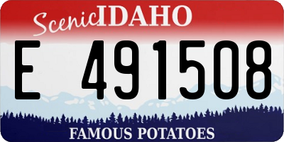 ID license plate E491508