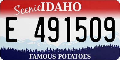 ID license plate E491509
