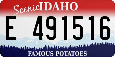 ID license plate E491516