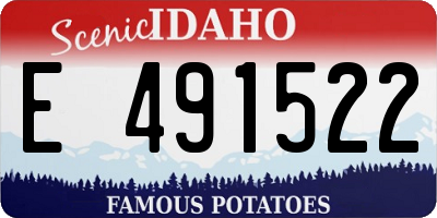 ID license plate E491522