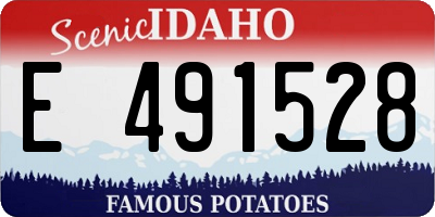 ID license plate E491528