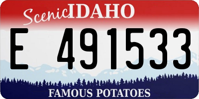 ID license plate E491533