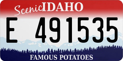 ID license plate E491535