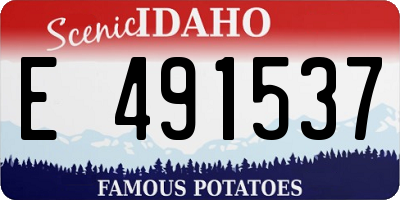 ID license plate E491537