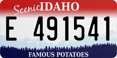 ID license plate E491541