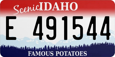 ID license plate E491544
