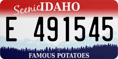 ID license plate E491545