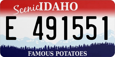 ID license plate E491551
