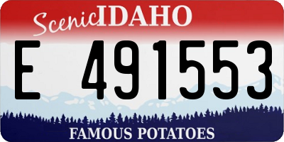 ID license plate E491553