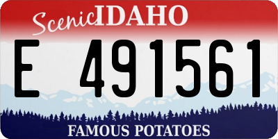 ID license plate E491561