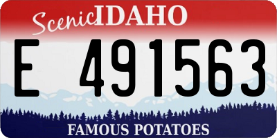 ID license plate E491563