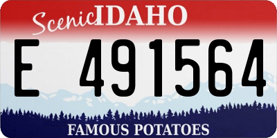 ID license plate E491564