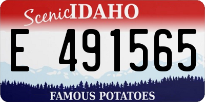 ID license plate E491565