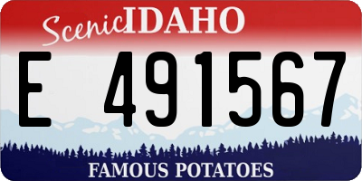 ID license plate E491567