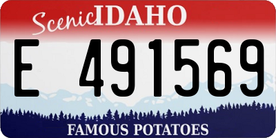 ID license plate E491569