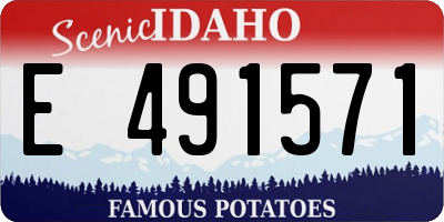 ID license plate E491571