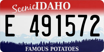 ID license plate E491572
