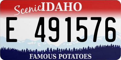 ID license plate E491576