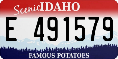 ID license plate E491579