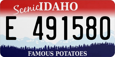 ID license plate E491580