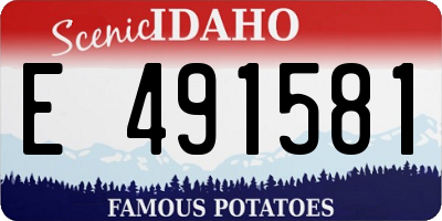 ID license plate E491581