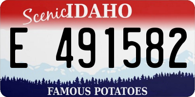 ID license plate E491582